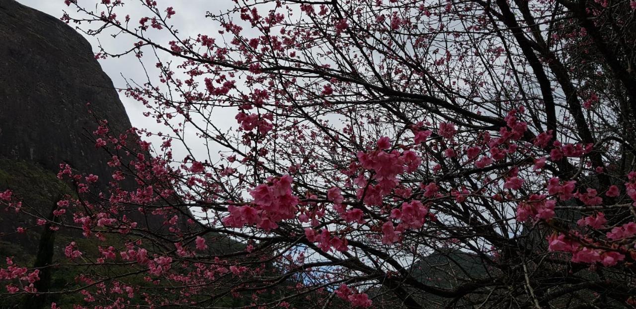 Petrópolis Chale Rosa Do Valeヴィラ エクステリア 写真