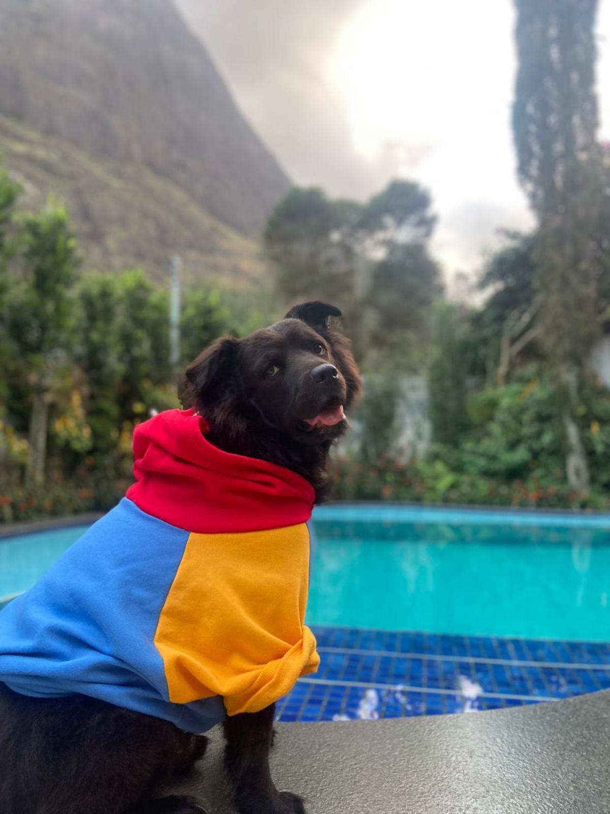 Petrópolis Chale Rosa Do Valeヴィラ エクステリア 写真